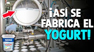 ¿Cómo Se Hace El Yogur Proceso En Fábrica [upl. by Niwde337]