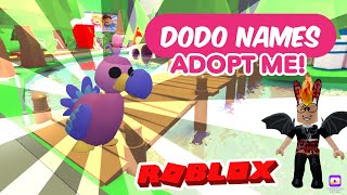 14 Name Suggestions for your Dodo in New Pets Adopt Me💙 [upl. by Alyos996]