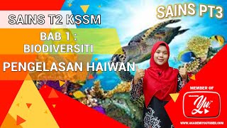 SAINS TING 2 BAB 12 PENGELASAN ORGANISMA  BAHAGIAN 1 PENGELASAN HAIWAN [upl. by Lrac]