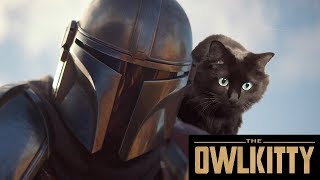 If Baby Yoda was a Cat Mandalorian  OwlKitty [upl. by Rotciv]