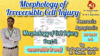 Morphology of Irreversible Cell Injury Cell Injury  Necrosis Apoptosis  Pathophysiology BP 204T [upl. by Glynis186]