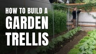 How to Build a Simple Garden Trellis [upl. by Idden]