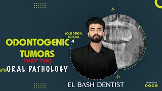 odontogenic tumors  part 2  oral pathology عزت شومان [upl. by Araz]