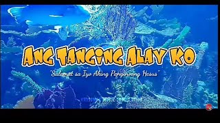 Ang Tanging Alay Ko quotSalamat sa iyo aking Panginoong Hesusquot with lyrics tangingalayko lyrics [upl. by Oiludbo]