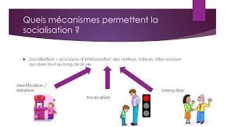 2ndeSES La socialisation un processus [upl. by Kipp]