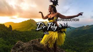 Danza Kuduro  Dr Poly Siren Jam 2024 [upl. by Madanhoj511]