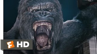 King Kong 610 Movie CLIP  Kongs Rampage 2005 HD [upl. by Warner700]