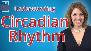 Circadian Rhythm Sleep Clock Affecting Cortisol amp Hormones [upl. by Gazo]