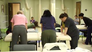 Learning Massage Therapy as a Career  Wellspring [upl. by Rus]