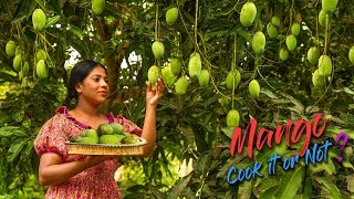 So many Mangoes in the tree Cook It or Not indeed you may eat them in raw  Traditional Me [upl. by Imiaj]