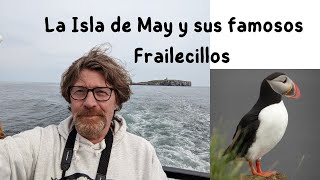 La Isla de May y los Frailecillos en Edimburgo Escocia [upl. by Elocon]