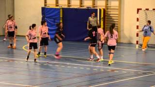 Vichy Val dAllier Handball  Teaser 070215 [upl. by Eeroc]