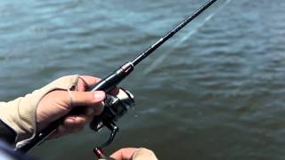 Shimano Zodias JDM Rods [upl. by Anaahs]