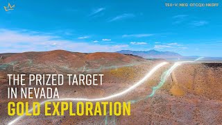 The Prized Target In Nevada Gold Exploration  IRON POINT [upl. by Nybor]