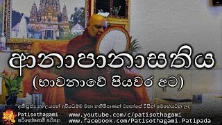 Anapanasathiya anapanasati bhavana  ආනාපානාසතිය 8  ven nauyane ariyadhamma maha thero [upl. by Ottilie]