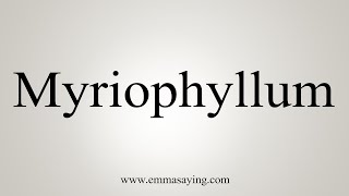 How To Say Myriophyllum [upl. by Innattirb]