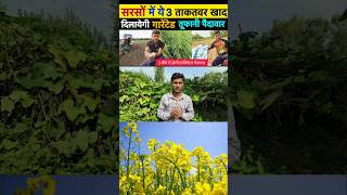 सरसों की खेती कब और कैसे करें  Sarso ki kheti  Mustard Farming  Mustard Cultivation  In India [upl. by Odoric]