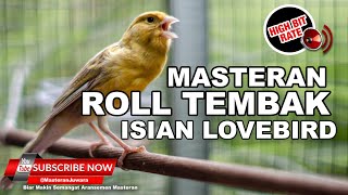 🔴 Kenari Gacor Panjang Isian Lovebird Ngekek PALING JERNIH⁉️ Canary Singing [upl. by Nylcoj]