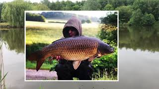 Carp fishing Elphicks fishery 2020 A new personal best 39lb [upl. by Nohs]