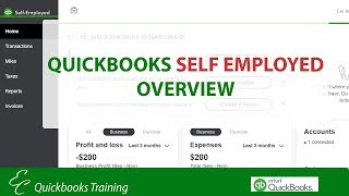 Overview of QuickBooks Self Employed [upl. by Lirbaj400]