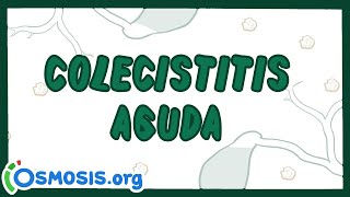 Colecistitis Aguda  Ósmosis en Español [upl. by Brooks]