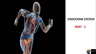 Endocrine System  ICSE Class 10th BiologyPart 1 [upl. by Eustis]