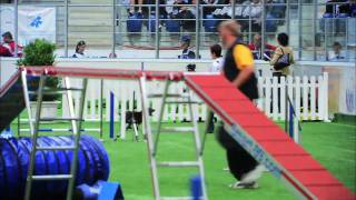 FCI Agility World Championship 2006  GREAT MOVIE HIGH DEFINITION [upl. by Nostrebor]