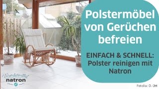 Polstermöbel reinigen und von Gerüchen befreien [upl. by Pendleton]