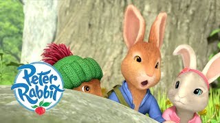 Peter Rabbit  Meeting all the Rabbits and Friends  Cartoons for Kids [upl. by Inafetse]