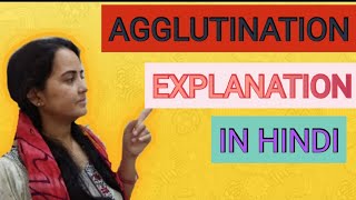 AGGLUTINATION  AGGLITINATION IN HINDI  AGGLUTINATION KYA HAI  WHAT KS AGGLUTINATION [upl. by Noeruat]