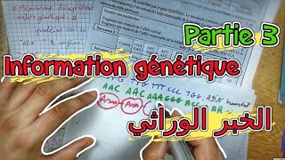 L’information Génétique 🔻 Partie 3 🔻 2 Bac pcsvt BIOF [upl. by Kylynn]