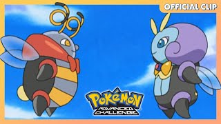 Volbeat amp Illumise  Pokémon Advanced Challenge  Official Clip [upl. by Nowell]