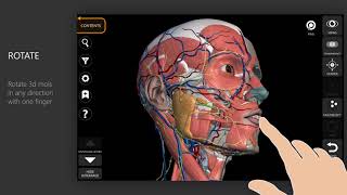 Anatomy 3D Atlas App Tutorial [upl. by Aem]