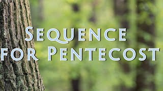 Sequence For Pentecost Lyric Video [upl. by Luba]