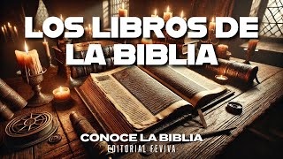 ¿Cómo se Divide la Biblia Guía Completa ✝️ [upl. by Filbert61]