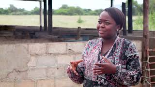 How to run a successful Piggery Farm in Botswana  Episode 2 [upl. by Arihay]