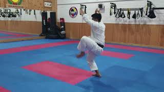 Arimoto Sensei JKS Ireland Honbu Dojo 2018 [upl. by Stromberg625]