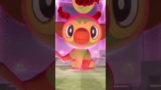 First time battling dynamax grookey [upl. by Sella932]