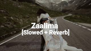 Zaalima Slowed  Reverb [upl. by Blood]