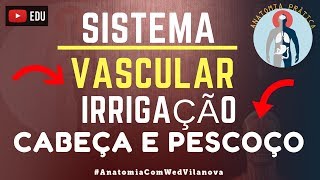 Artéria Carótida Externa Irrigação  Cabeça e Pescoço  Sistema Vascular  Anatomia Prática [upl. by Roana267]