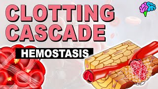 The Clotting Cascade EXPLAINED [upl. by Faubion883]