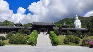 TSZ SHAN MONASTERY [upl. by Eedyak]