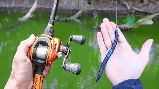 Catch 15x MORE Bass  TRY THIS Bass Fishing Tips [upl. by Esmerelda]