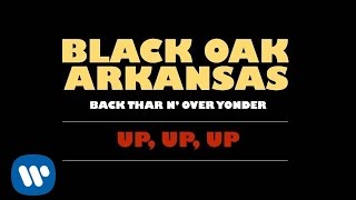 Black Oak Arkansas  UP UP UP Official Audio [upl. by Shannan]