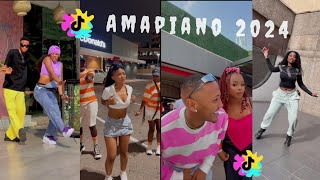 Random Amapiano Dance Challenge 2024 [upl. by Duleba]