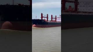 Gear BULK ship passing by a container carrier ship in port  Gear Bulk Ship [upl. by Adnauqahs]