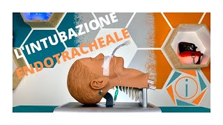 LINTUBAZIONE ENDOTRACHEALE  LE VIE AEREE  INFERMIERI online [upl. by Eitac897]