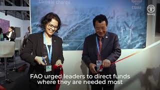 United Nations Climate Change Conference – COP29 [upl. by Cullie]