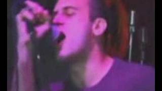 Screeching Weasel  I gotta girlfriend [upl. by Tnek]