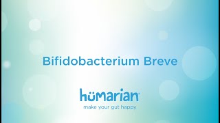 Bifidobacterium Breve [upl. by Ynohtnad]